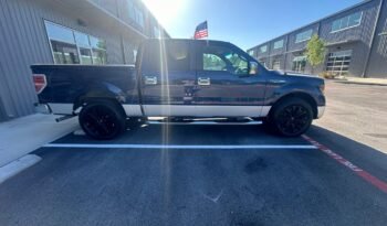 2010 Ford F150 full