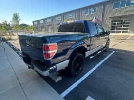2010 Ford F150