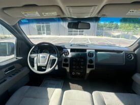 2010 Ford F150