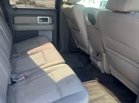 2010 Ford F150